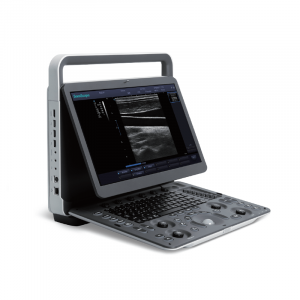 E1V<span class="desc-prod">Le système de diagnostic par ultrasons portable E1V est une nouvelle...</span>